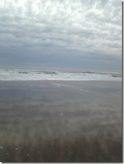 Homeschool, Lincoln City, Full Moon, Charlotte Mason, Outdoor Study, Glass Ball-1