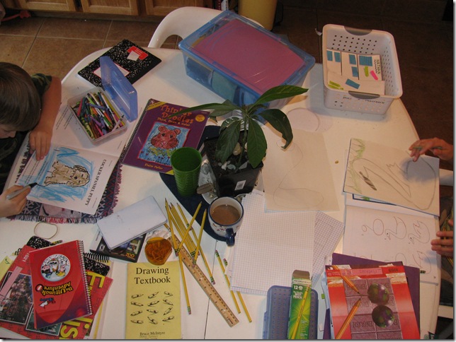 Homeschool, What does your Class look like?