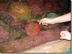 Homeschool, Science, Hatfield, Newport, Oregon