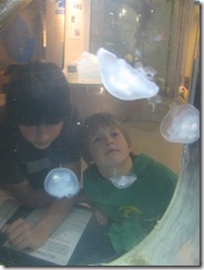 Homeschool, Science, Hatfield, Newport, Oregon