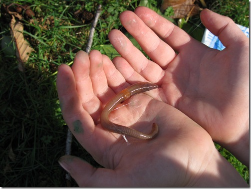 Outdoor Challenge Pine Winter worm visitor Homeschool-2