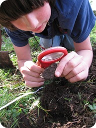 Handbook-of-Nature,-Square-
