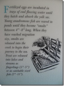 Homeschool, Virtual, Field Trip, Fish Hatchery, Oregon