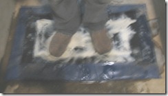 Homeschool, Virtual, Field Trip, Fish Hatchery, Oregon