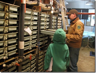 Homeschool, Virtual, Field Trip, Fish Hatchery, Oregon