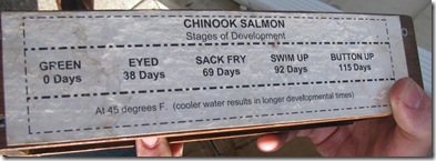 Homeschool, Virtual, Field Trip, Fish Hatchery, Oregon