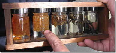 Homeschool, Virtual, Field Trip, Fish Hatchery, Oregon