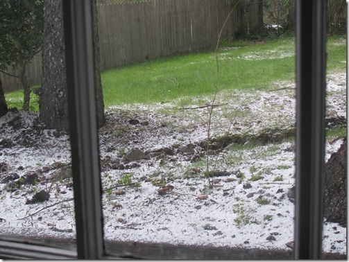 Outdoor Hour Challenge Spring Weather Hail