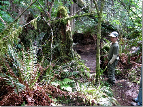 where do I do the quests?