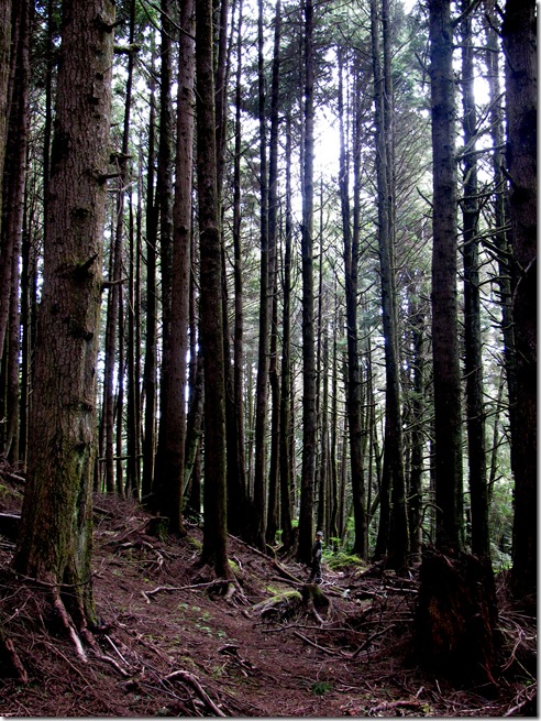 Example of an Oregon Coast Quest Letterboxing 
