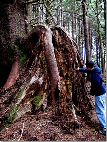 Oregon Coast Quest Letterboxing