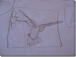 sketch drawing rufous hummingbird