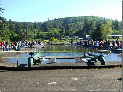 Unschool Free Fishing Day