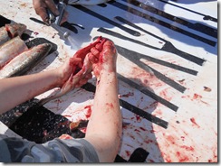 Unschool Free Fishing Day