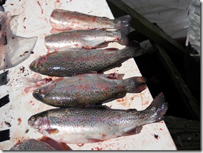 Unschool Free Fishing Day