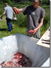 Unschool Free Fishing Day