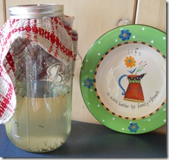 Handbook of Nature Study Summer Mosquito