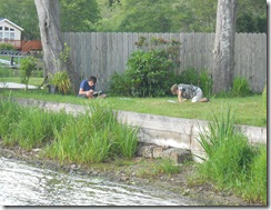 Tree Study, Nature, Elm, Hear