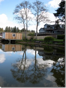Tree Study, Nature, Elm, Spring