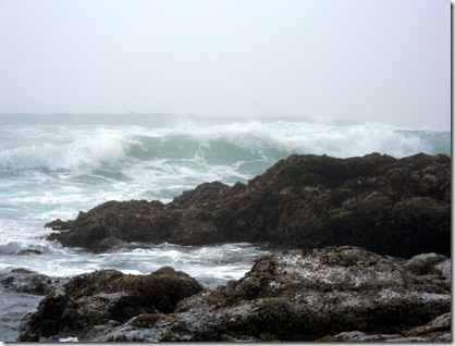 advection fog pacific ocean