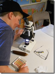Jon looking at the cattail in a microscope.