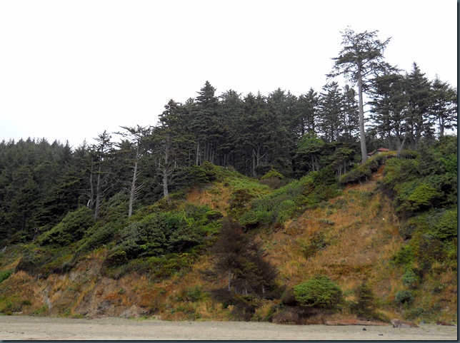 Lincoln City Waves Sunrise