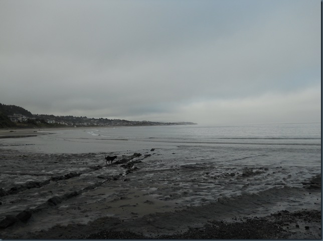Lincoln City Waves Sunrise