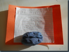 Fll Project The Brain