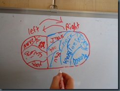 FLL Project Brain  Brainstorm