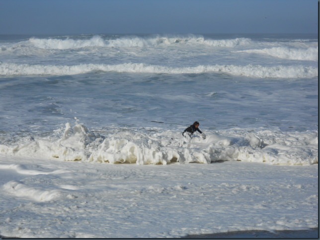 Nelscott, The Cradle, Surf, 2010