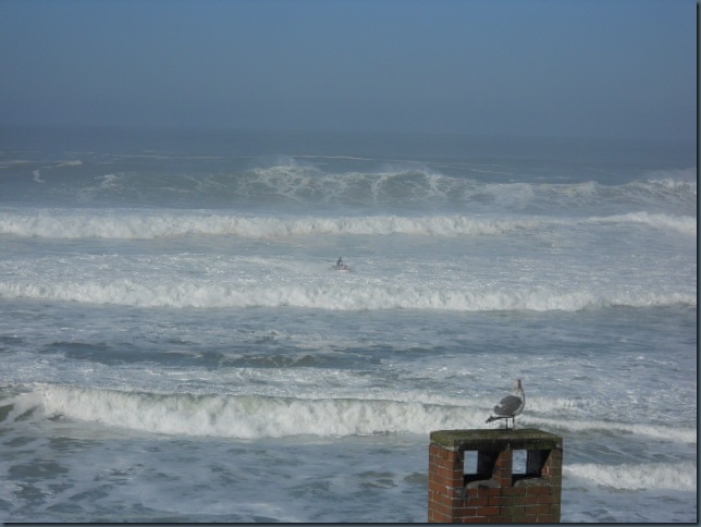 Nelscott, The Cradle, Surf, 2010