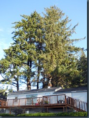 Devils Lake, Lincoln City, D River Blocked, Homeschool