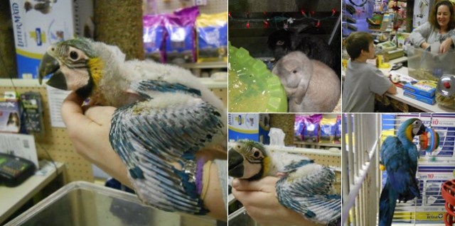 View album View album