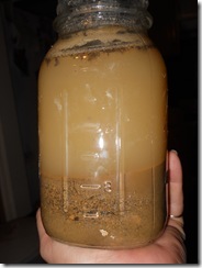 Soil Sample 4 hours after extraction