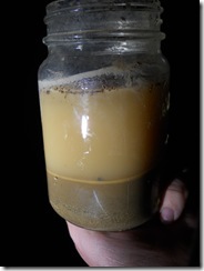 Lincoln City Homeschool Soil 3