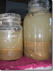 24 hours after extraction.