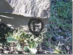DSCN1377