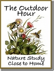 2554230385_267cdef370_m[4]