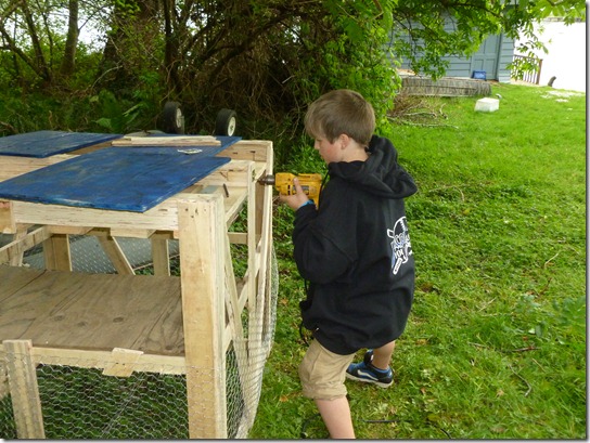 Pallet Chicken Coop