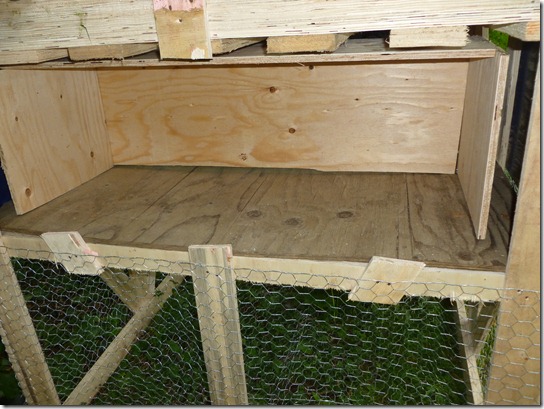 Pallet Chicken Coop
