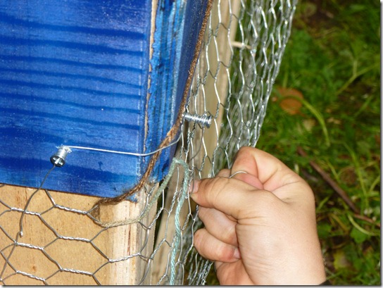 Pallet Chicken Tractor