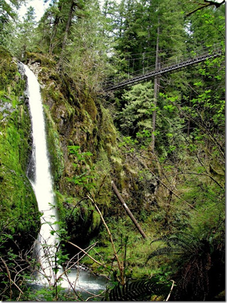 Drift Creek Falls