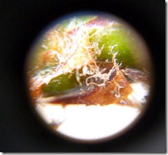P1000861