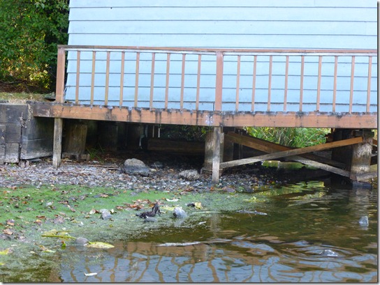 Devils Lake Water Level October , 2012