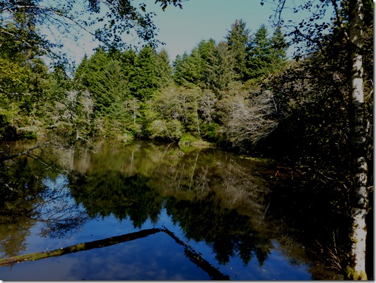 Spring lake, Lincoln City, oregon