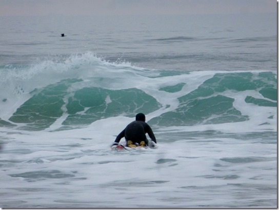 Russo-Turtle-Roll-Surfboard