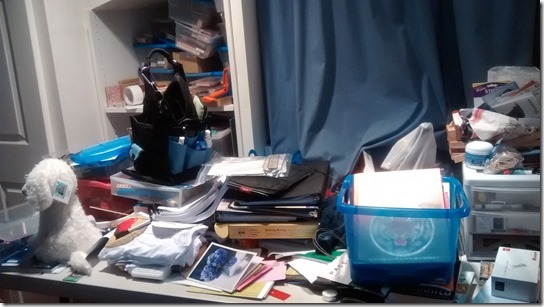 IMG_20150731_105430419