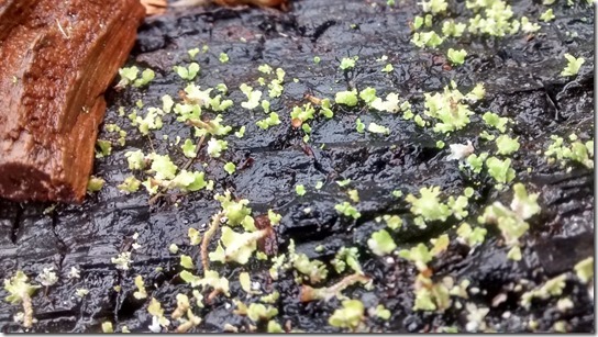 IMG_20160214_145932416_HDR