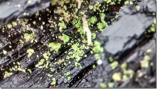 IMG_20160214_150058511_HDR