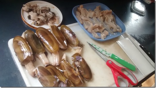 IMG_20160526_165304474